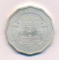 2007. 5000Ft Ag "Debreceni Református Nagytemplom" T:BU patina Adamo EM212