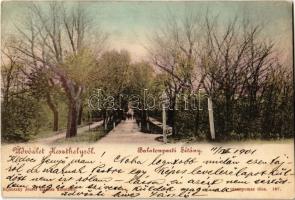 1901 Keszthely, Balatonparti sétány. Kiadja Sujánszky József 167. (EK)