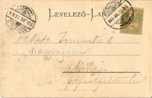 1905 Keszthely, Gróf Festetics palota. Sujánszky József kiadása