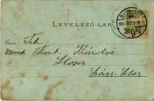 1904 Budapest I. Gellérthegy és Tabán, este. Ottmar Zieher litho (EK)