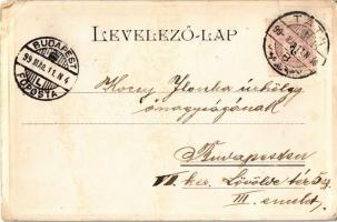 1899 Tata, Tata-Tóváros; Tatai vár. Kiadja Veszprémi Lajos. Szecessziós ezüst fémes képeslap / Art N...