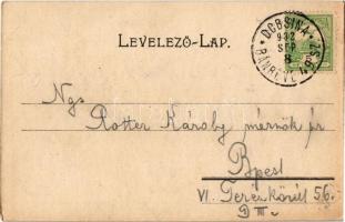 1902 Dobsina, Dobschau; Jégbarlang belső / ice cave interior + Dobsina-Bánréve 49. sz. vasúti mozgóp...