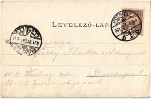 1901 Pozsony, Pressburg, Bratislava; Dom vom Schloss / Koronázótemplom, Szent Márton dóm a várból, h...