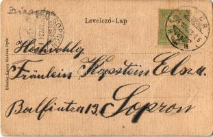 1904 Győr, látkép zsinagógával. Rőszler Károly kiadása. Szecessziós címeres lap. Art Nouveau, litho ...