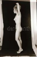 cca 1977 Szolidan erotikus felvételek egy privát akt-archívumból, 13 db vintage negatív, 24x36 mm