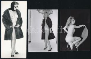 cca 1973 Szolid hölgyek szolid erotikája, 13 db vintage negatív + 3 db vintage fotó és/vagy mai nagyítás, a negatívok és papírképek között nincs kapcsolat, 24x36 mm és 17,2x7,7 cm között