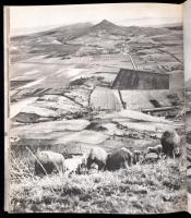 Illyés Gyula-Reismann János: Balaton. Bp.1962,Corvina. Kiadói egészvászon kötés, kiadói kissé maszat...