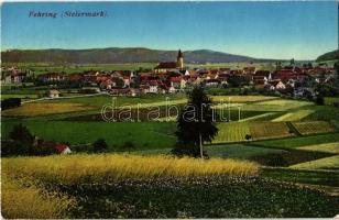 1917 Fehring (Steiermark), Verlag Jos. A. Kienreich. Phot. d. Kunstverslag S. Frank