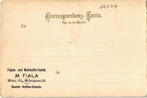 Achensee gegen Achenkirch, Carl Otto Hayd Kunstverlags-Anstalt No. 5055. M. Fiala Feigen und Malzkaf...