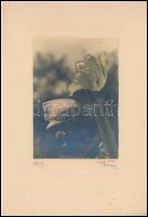 cca 1933 Thöresz Dezső (1902-1963) békéscsabai gyógyszerész és fotóművész hagyatékából  vintage fotóművészeti alkotás, aláírva és kézzel színezve, 16,6x11,8 cm, karton 29,5x20,5 cm