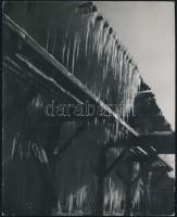 cca 1938 Korschelt Miklós (1900-1982) budapesti festő- és fotóművész hagyatékából 2 db vintage fotó,...