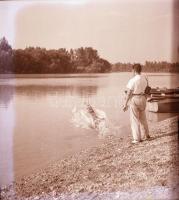 cca 1930 Pöltinger Gusztáv (?-?) soproni fotóművész hagyatékából 144 db vintage negatív, 3x4 cm és 6...