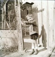 cca 1930 Pöltinger Gusztáv (?-?) soproni fotóművész hagyatékából 144 db vintage negatív, 3x4 cm és 6...