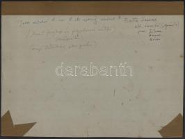 1911 Eperjes, Divald fényképész által készített felvétel, a Magyar Ev. ker. Diákmozgalom V. nyári gy...