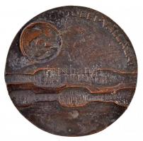 1978. "Öntödei Vállalat / Öntő Ifjúsági Napok - Eger 1978" kétoldalas, öntött Br pakett (7...