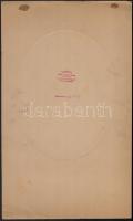 cca 1925 Landau Erzsébet budapesti, művész fényképek műtermében készült női portré, pecséttel jelzet...