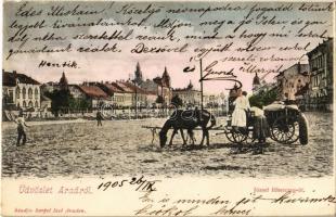 1905 Arad, József főherceg út, lovasszekér / street with horse cart