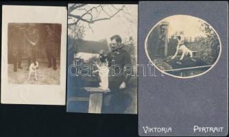 cca 1910-1940 Várady Albert (1870-?) huszártiszt, később ezredes, a m. kir. varasdi 10. honvéd huszárezred tagjának és hűséges kutyájának fotói, 3 db, fotó és fotó kartonon, 9x6 cm és 10x6 cm közötti méretben.