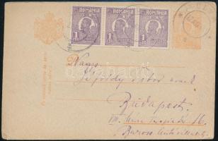 Romania 1924, Románia 1924