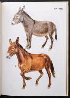 Búvár zsebkönyvek 14 kötete, és a Kolibri Könyvek 1 kötete, összesen 15 db. Bp.,1972-1989, Móra. Kia...