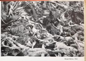 Richard Errell: Bilderbuch für Nachdenkliche. Frankfurt am Main, 1961, Europäische Verlagsanstalt. N...