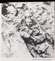 Richard Errell: Bilderbuch für Nachdenkliche. Frankfurt am Main, 1961, Europäische Verlagsanstalt. N...