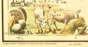 Maros-Torda vármegye közigazgatási térképe, színezett fametszet, paszpartuban, plexizett fa keretben...