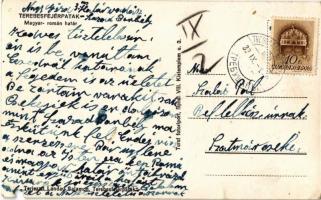 1939 Terebesfejérpatak, Terebes (Trebusa), Dilova; magyar-román határ katonákkal, határőrökkel. Kiad...