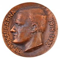 DN Dr. Pákai Barna 1914-1972 egyoldalas, öntött Br plakett (~77mm) T:1-
