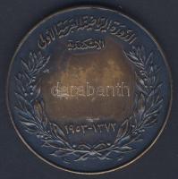 Lengyelország DN nagyalakú modern Br plakett "Sport és Turisztikai Múzeum". Szign:S.L. Sik...