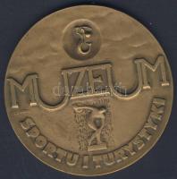 Lengyelország DN nagyalakú modern Br plakett "Sport és Turisztikai Múzeum". Szign:S.L. Sik...