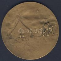 Lengyelország DN nagyalakú modern Br plakett "Sport és Turisztikai Múzeum". Szign:S.L. Sik...