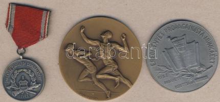 1958. "Önkéntes tűzoltói szolgálatért" kitüntetés szalaggal + 1963-64. "Eredményes Propagandista Munkáért-KISZ Budapesti Bizottsága" plakett eredeti díszdobozban + 1976. "Komárom-Nemzetközi Futóverseny" Br emlékplakett. Szign: Gáll Gyula T:2