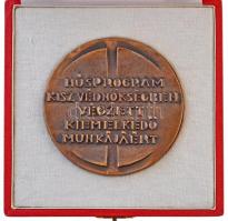 DN "KISZ Védnökség / Húsprogram KISZ Védnökségben végzett kiemelkedő munkájáért" Br emléké...