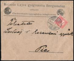 1913 Beregszász, Meisels Lajos gyógyszerész szőlőszete boríték.