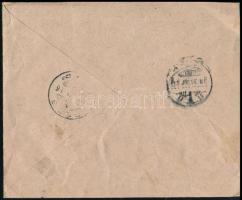 1913 Beregszász, Meisels Lajos gyógyszerész szőlőszete boríték