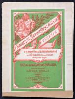 cca 1881-1900 Hátsek Igác: A magyar szent korona országainak térképe. Iskolai és magánhasználatra te...