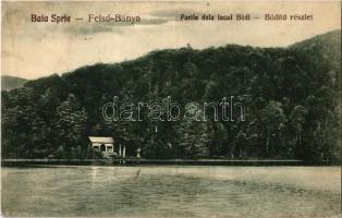 1929 Felsőbánya, Baia Sprie; Partie dela lacul Bódi / Bódi tó. Kiadja Dácsek Péter / lake (fl)