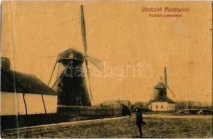 1909 Mezőtúr, szélmalom. W. L. 1382. / windmills (fa)