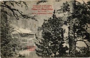 1908 Tátra, Magas Tátra, Vysoké Tatry; Poprádi tó a szállóval. Földes féle Margit Creme reklám / Poprádské pleso / lake, hotel, advertisement card (EK)