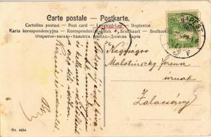 1906 Boldog Újévet! / New Year greeting card with pigs, mushrooms, dwarf