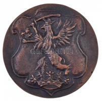 2001. "100 éve született Gróf Esterházy János 1901-2001" kétoldalas, öntött Br emlékére, s...