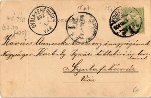 1902 Kolozsvár, Cluj; Karolina tér, Szent Ferencrendi templommal, obeliszk. Schuster Emil kiadása / ...