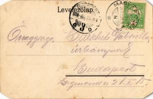 1908 Magyarcsernye, Magyar-Czernye, Nova Crnja; Római katolikus iskola és templom, Községháza, Magy....