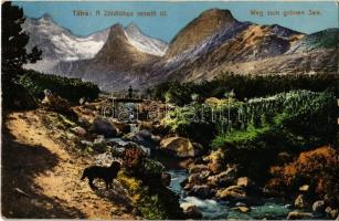 1917 Tátra, Magas Tátra, Vysoké Tatry; A Zöldtóhoz vezető út, fahíd. Kiadja Cattarino S. utóda Földes Samu 188. sz. / Weg zum grünen See / Zelené pleso / road to the lake, wooden bridge