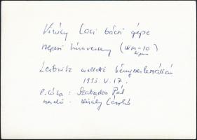 1933 Király László repülőgépének kényszerlandolása Leibnitz mellett, az alpesi túraversenyen, pilóta...