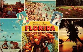 51 db MODERN amerikai és kanadai városképes lap / 51 MODERN American (USA) and Canadian town-view postcards