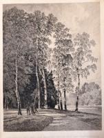 Die Graphischen Künste. Redigirt von Dr. Oskar Berggruen. I. Jahrgang. Wien, 1879, Vervielfältigende...