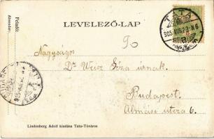 1905 Tata, Tata-Tóváros; Tóvárosi Esterházy utca. Kiadja Lindenberg Adolf
