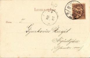 1901 Miskolc, Miskolczi különlegességek: "Pislog, mint a miskolczi kocsonyába fagyott béka&quot...